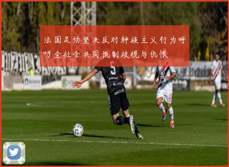 法国足协坚决反对种族主义行为呼吁全社会共同抵制歧视与仇恨