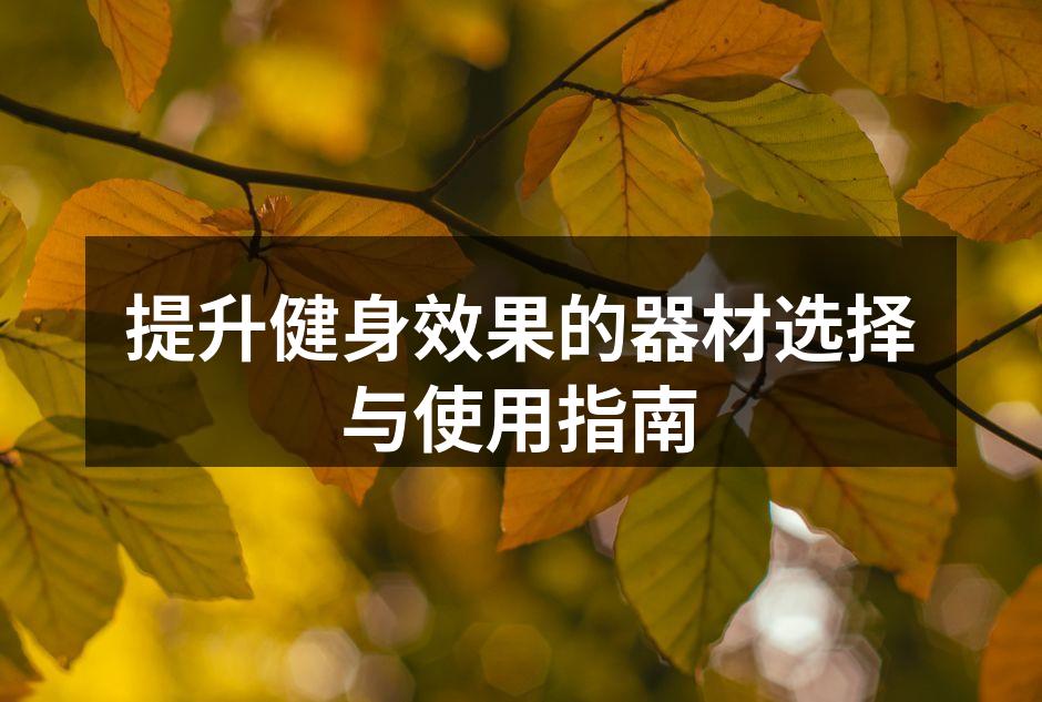 多种健身器材助你提升训练效果
