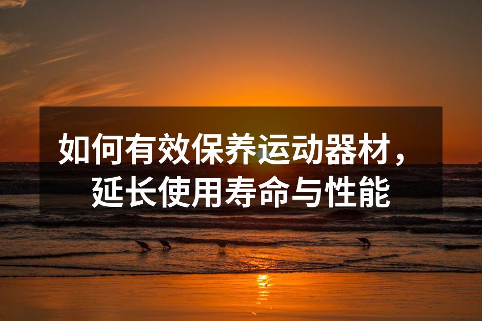 如何有效保养运动器材，延长使用寿命与性能